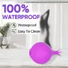 2 in 1 Vibrator, Rechargeable Vibrator, Sex Toys for Women, Adult Toys with 5 Vibration Levels, Purple