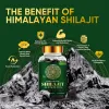 Picture of Himalayan Shilajit Resin Supplement